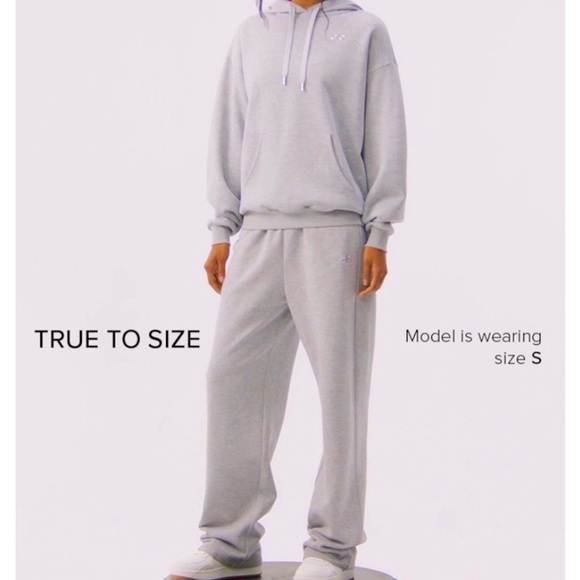 Alo Yoga Accolade Sweatpants jogger, chromed Alo logo (original piece - Picture 11 of 17